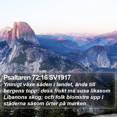 Psaltaren 72:16 SV1917 Bible Verse Image