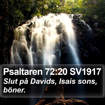 Psaltaren 72:20 SV1917 Bible Verse Image