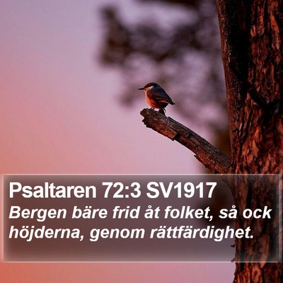 Psaltaren 72:3 SV1917 Bible Verse Image