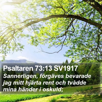 Psaltaren 73:13 SV1917 Bible Verse Image