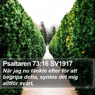 Psaltaren 73:16 SV1917 Bible Verse Image