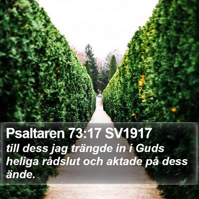 Psaltaren 73:17 SV1917 Bible Verse Image