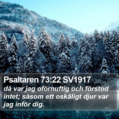 Psaltaren 73:22 SV1917 Bible Verse Image