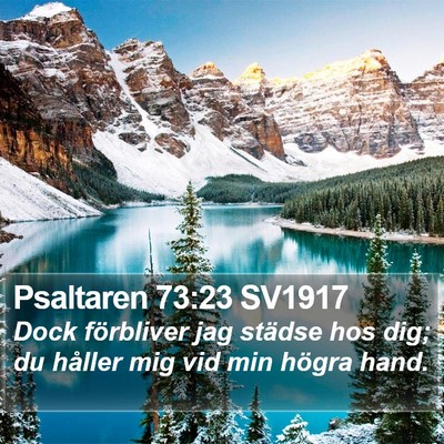 Psaltaren 73:23 SV1917 Bible Verse Image
