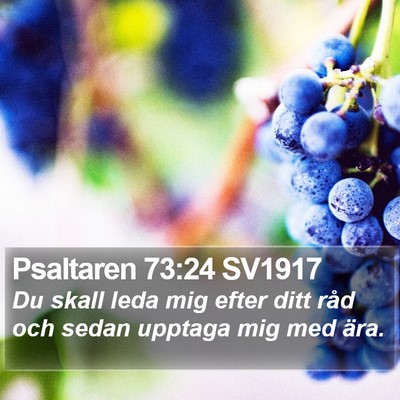Psaltaren 73:24 SV1917 Bible Verse Image