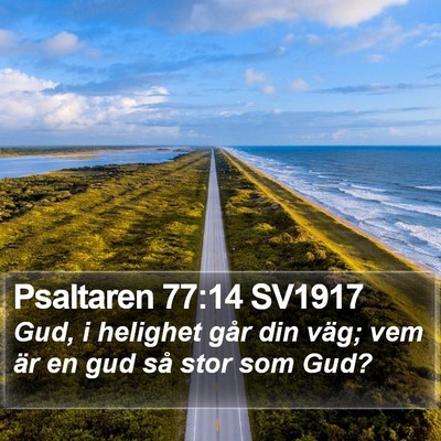 Psaltaren 77:14 SV1917 Bible Verse Image