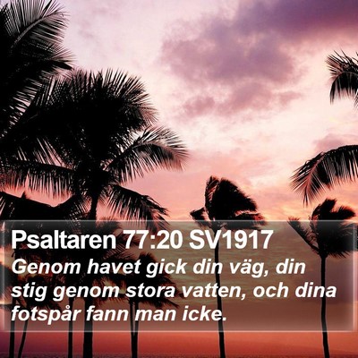 Psaltaren 77:20 SV1917 Bible Verse Image