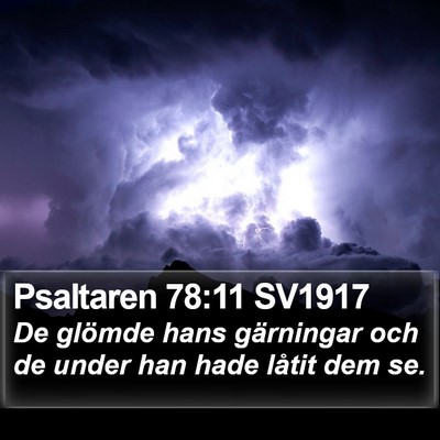 Psaltaren 78:11 SV1917 Bible Verse Image