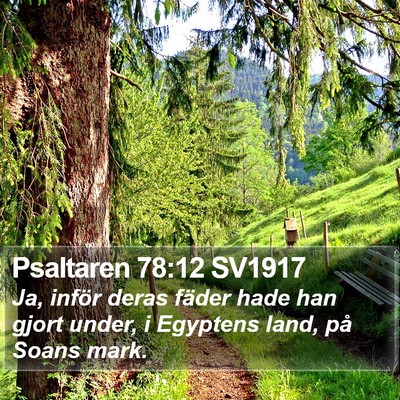 Psaltaren 78:12 SV1917 Bible Verse Image