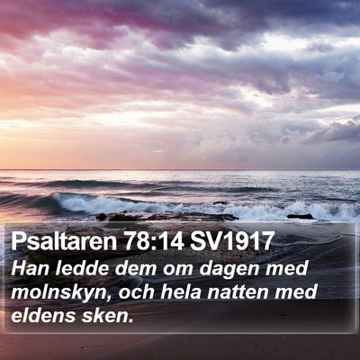 Psaltaren 78:14 SV1917 Bible Verse Image