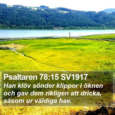 Psaltaren 78:15 SV1917 Bible Verse Image