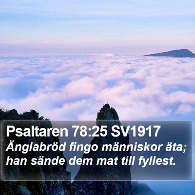 Psaltaren 78:25 SV1917 Bible Verse Image