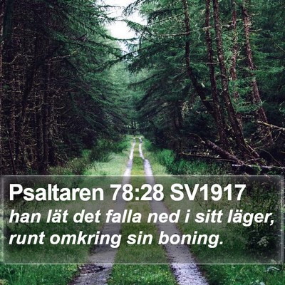 Psaltaren 78:28 SV1917 Bible Verse Image