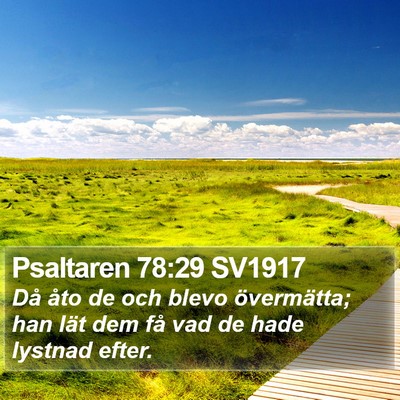 Psaltaren 78:29 SV1917 Bible Verse Image