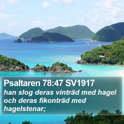 Psaltaren 78:47 SV1917 Bible Verse Image