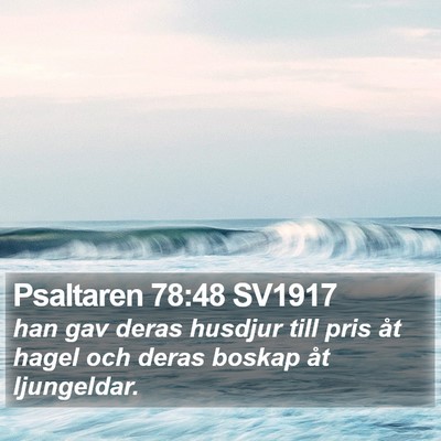Psaltaren 78:48 SV1917 Bible Verse Image