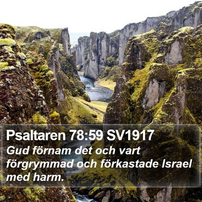 Psaltaren 78:59 SV1917 Bible Verse Image