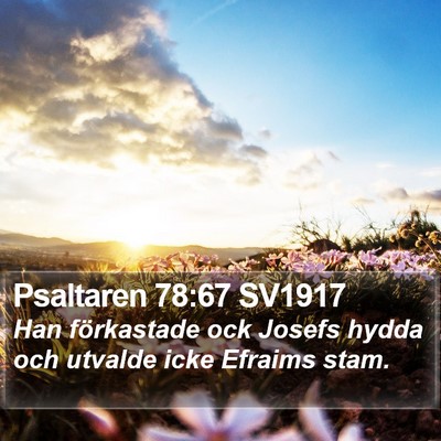 Psaltaren 78:67 SV1917 Bible Verse Image