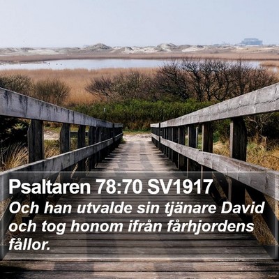 Psaltaren 78:70 SV1917 Bible Verse Image