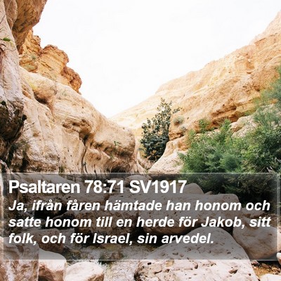 Psaltaren 78:71 SV1917 Bible Verse Image