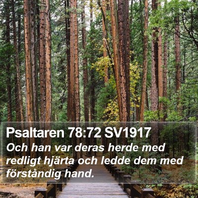 Psaltaren 78:72 SV1917 Bible Verse Image