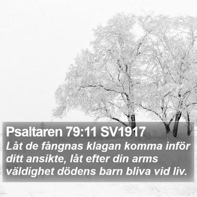 Psaltaren 79:11 SV1917 Bible Verse Image