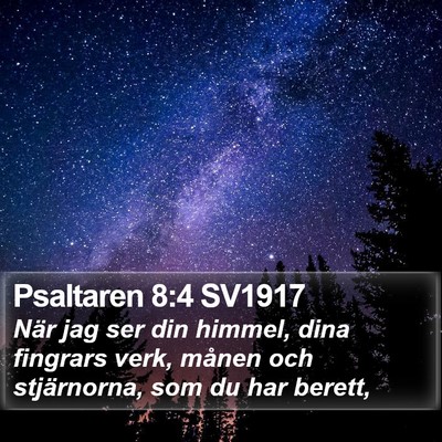 Psaltaren 8:4 SV1917 Bible Verse Image