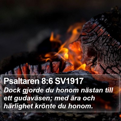 Psaltaren 8:6 SV1917 Bible Verse Image