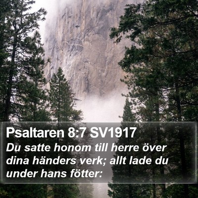 Psaltaren 8:7 SV1917 Bible Verse Image