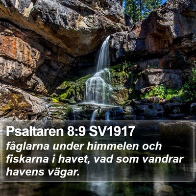 Psaltaren 8:9 SV1917 Bible Verse Image