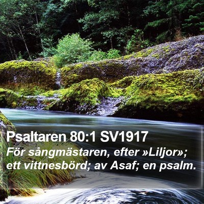 Psaltaren 80:1 SV1917 Bible Verse Image