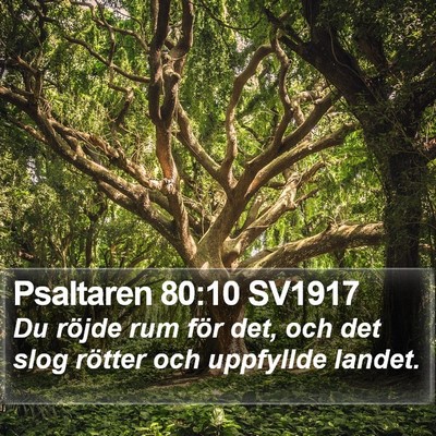 Psaltaren 80:10 SV1917 Bible Verse Image