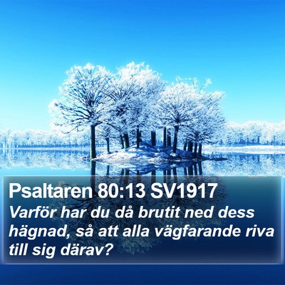 Psaltaren 80:13 SV1917 Bible Verse Image
