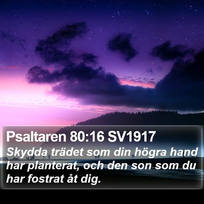 Psaltaren 80:16 SV1917 Bible Verse Image