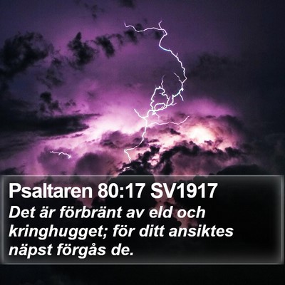 Psaltaren 80:17 SV1917 Bible Verse Image