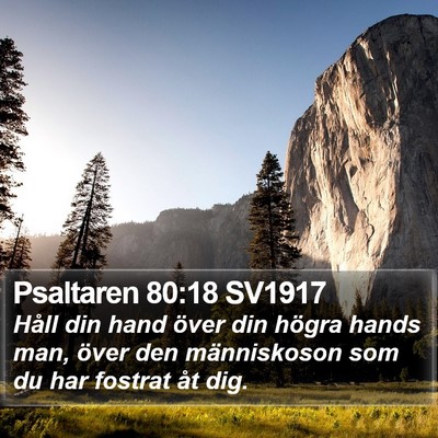 Psaltaren 80:18 SV1917 Bible Verse Image