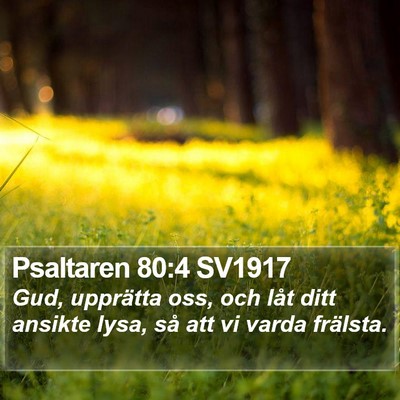 Psaltaren 80:4 SV1917 Bible Verse Image