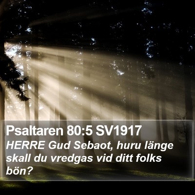 Psaltaren 80:5 SV1917 Bible Verse Image