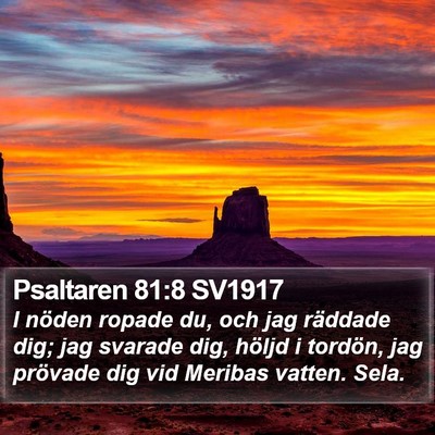 Psaltaren 81:8 SV1917 Bible Verse Image