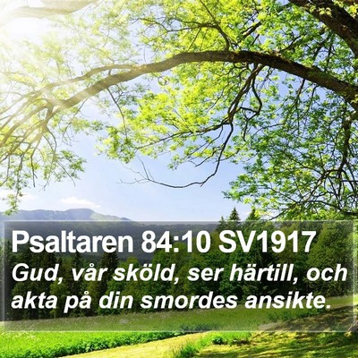 Psaltaren 84:10 SV1917 Bible Verse Image