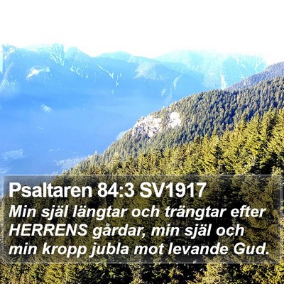 Psaltaren 84:3 SV1917 Bible Verse Image