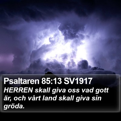 Psaltaren 85:13 SV1917 Bible Verse Image