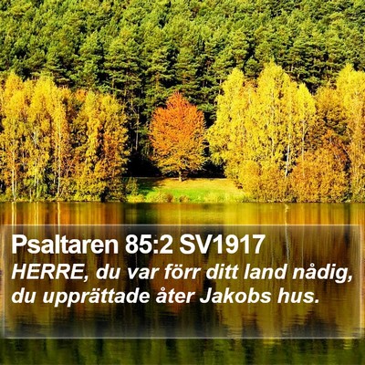 Psaltaren 85:2 SV1917 Bible Verse Image
