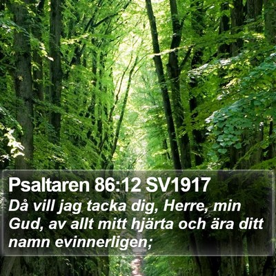 Psaltaren 86:12 SV1917 Bible Verse Image