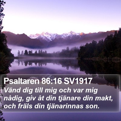 Psaltaren 86:16 SV1917 Bible Verse Image