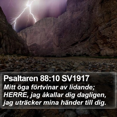 Psaltaren 88:10 SV1917 Bible Verse Image