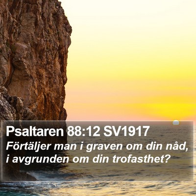 Psaltaren 88:12 SV1917 Bible Verse Image