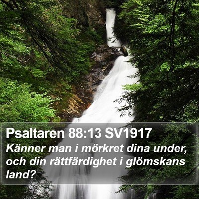 Psaltaren 88:13 SV1917 Bible Verse Image
