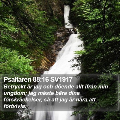 Psaltaren 88:16 SV1917 Bible Verse Image