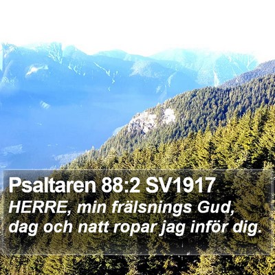 Psaltaren 88:2 SV1917 Bible Verse Image